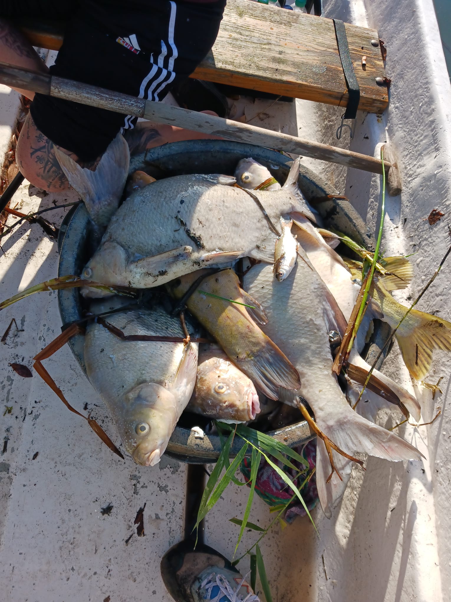 Sauerstoffmangel 2023